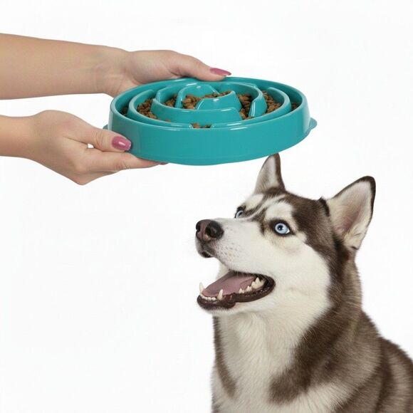 NWT Outward Hound Slo Bowl Turquoise Blue LARGE Slow Feeder Anti Bloat Dog Bowl - Picture 1 of 9